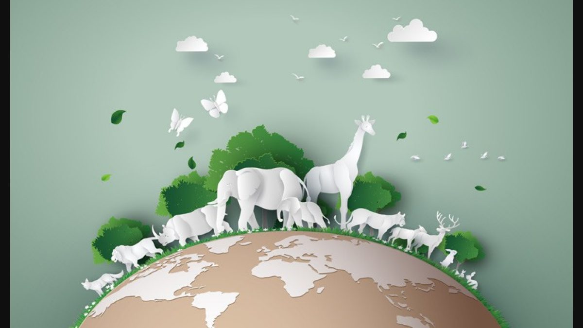 Planting a tree sapling; caring for animals and nature